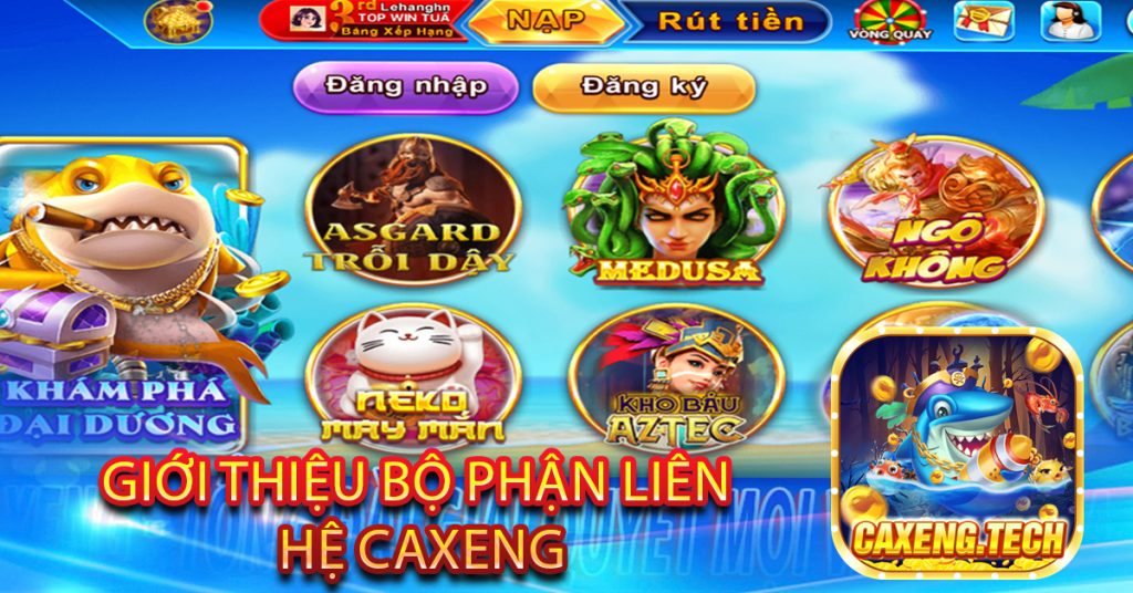 Giới Thiệu Bộ Phận Liên Hệ Caxeng