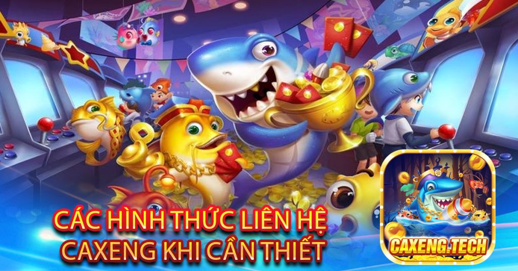 Các Hình Thức Liên Hệ Caxeng Khi Cần Thiết