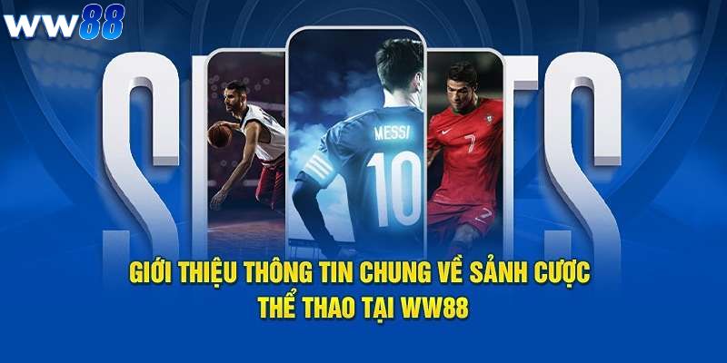 Tổng Quan & Chiến Lược Thể Thao Ww88 Hiệu Quả